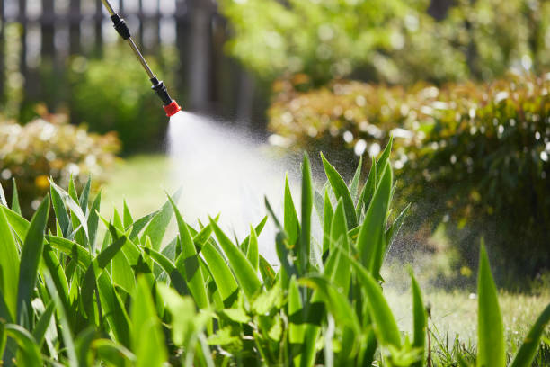 24/7 Emergency Mosquito Control experts in Nixon, PA